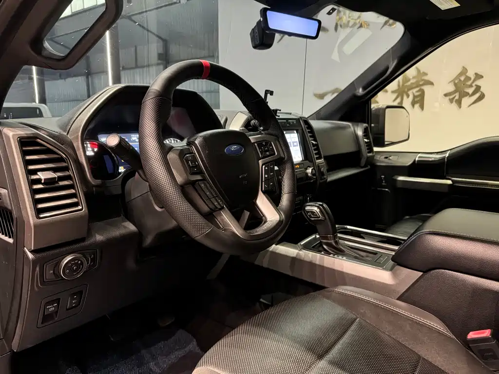 Ford F-150 Raptor 2019 — фото 12