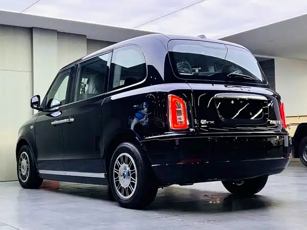 LEVC TX 2024