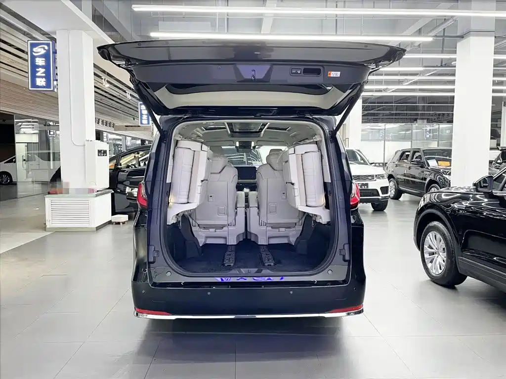 Lexus LM 2024 — фото 14