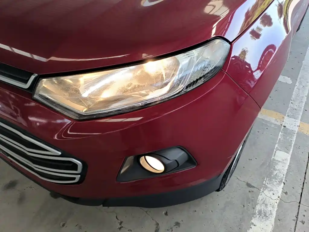 Ford EcoSport 2015 — фото 24