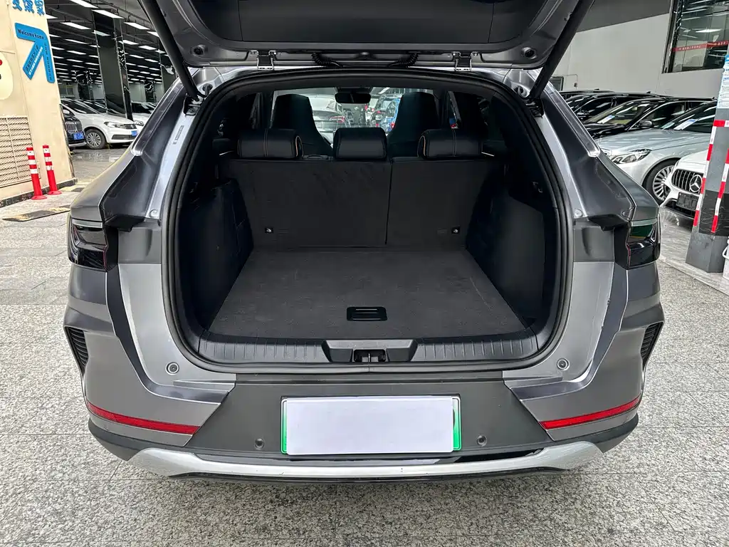 BYD Song PLUS New Energy 2023 — фото 12