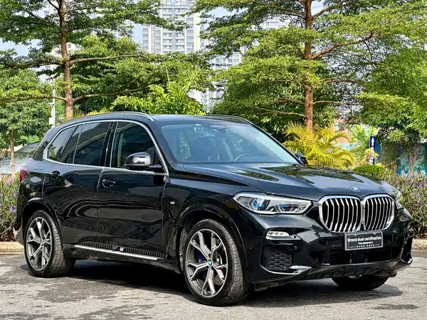BMW X5 2019