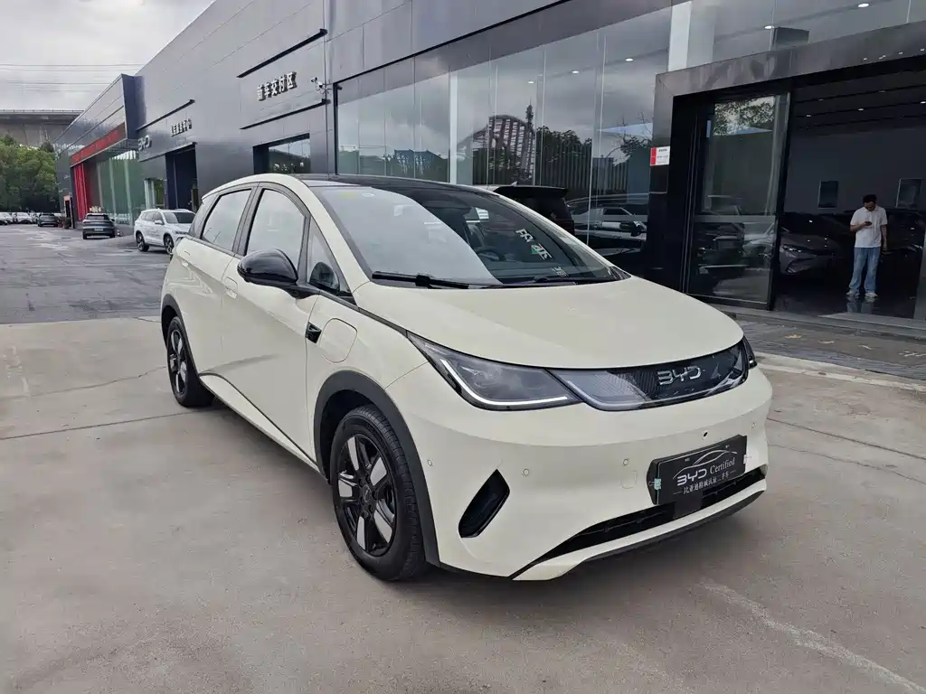 BYD Dolphin 2025