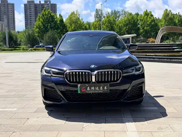 BMW 5 Series New Energy 2023
