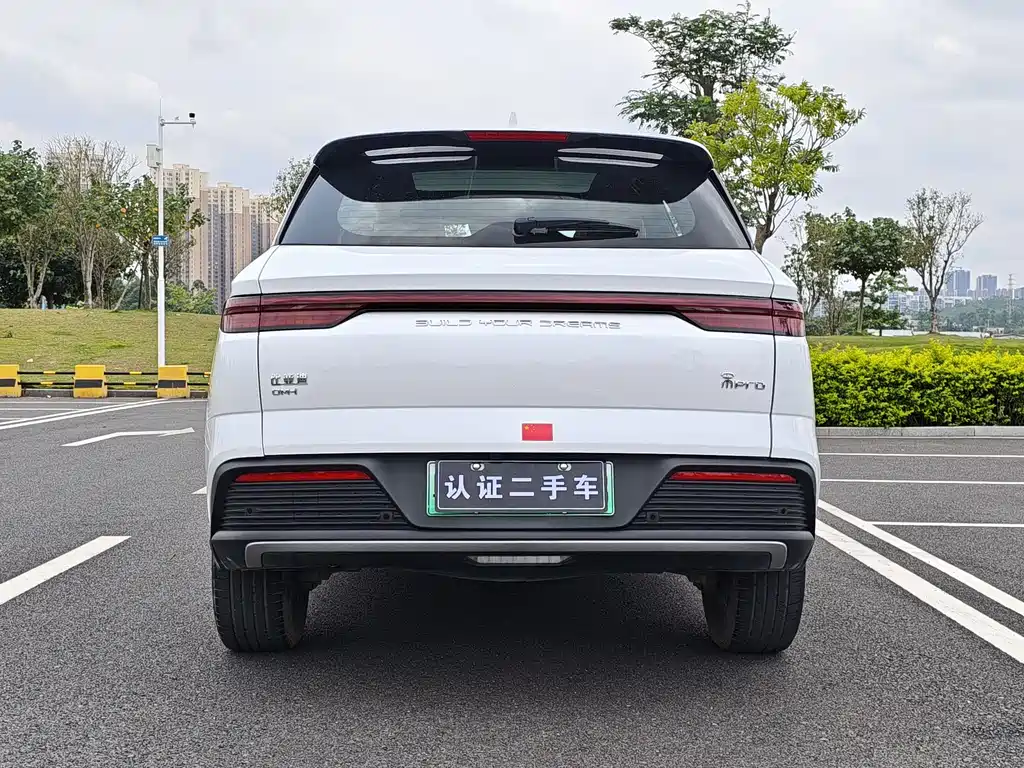 BYD Pro New Energy 2023 — фото 5