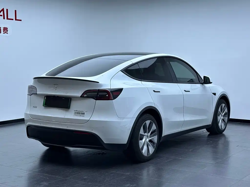 Tesla Model Y 2021 — фото 7