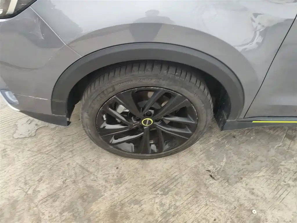 Roewe RX5 New Energy 2021 — фото 23