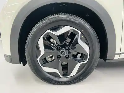 BYD Dolphin 2022