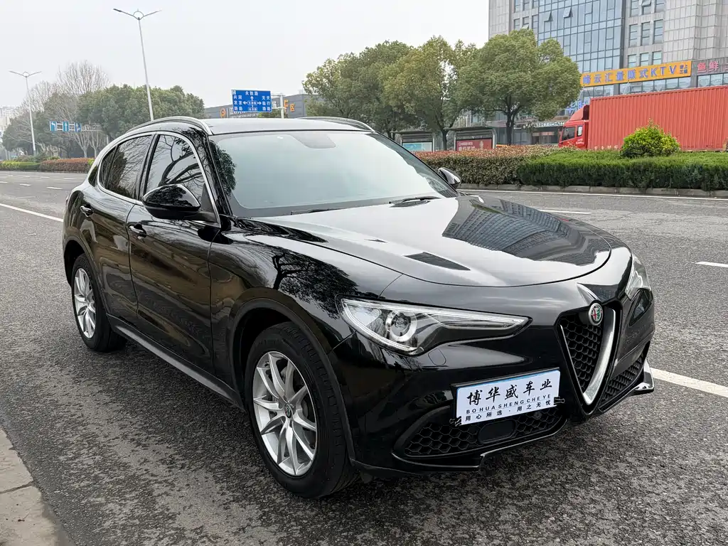 Alfa Romeo Stelvio 2019 — фото 3