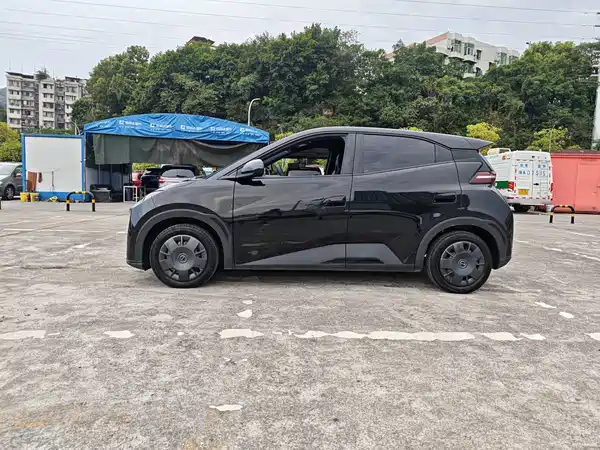 BYD Seagull 2024