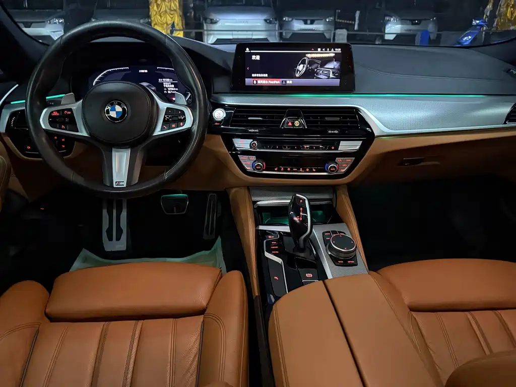 BMW 5 Series 2019 — фото 10