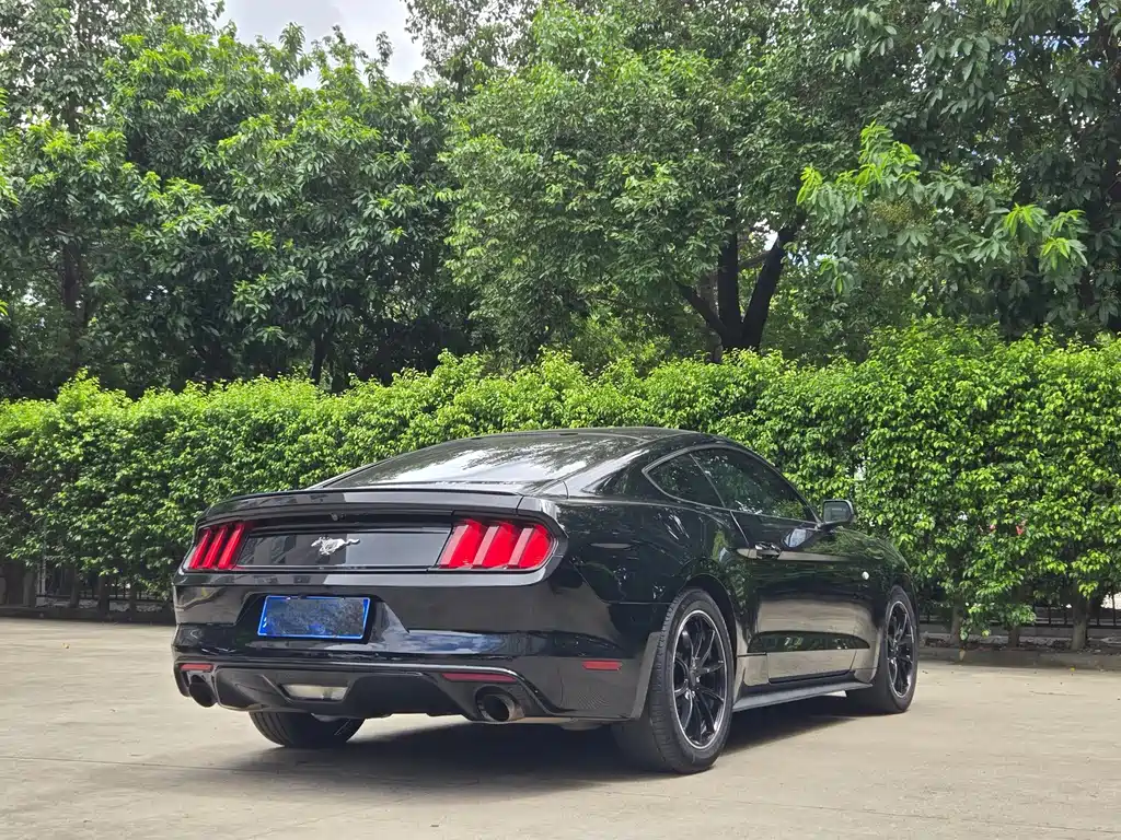 Ford Mustang 2016 — фото 10