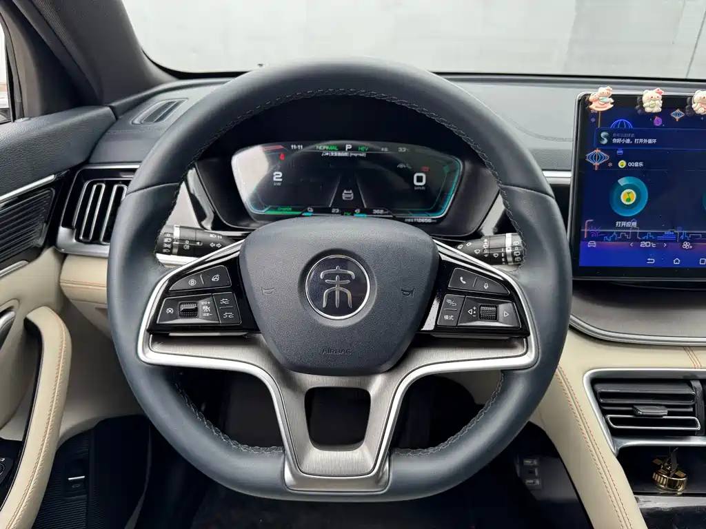 BYD Song PLUS New Energy 2022 — фото 16