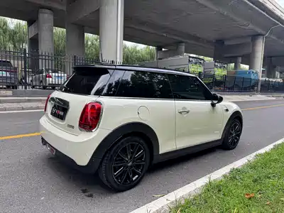 MINI MINI 2019