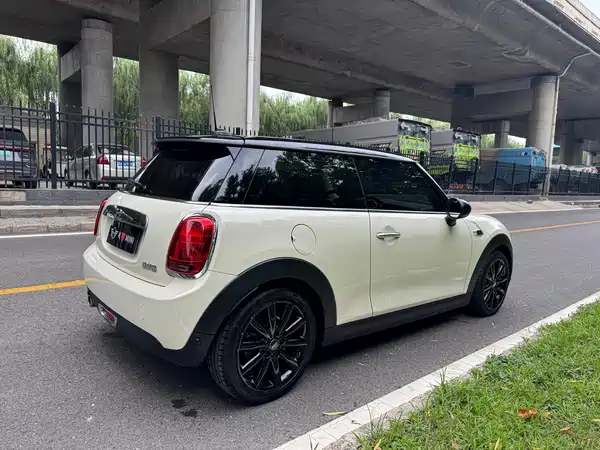 MINI 2019