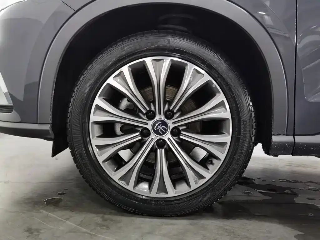 BYD Song Pro New Energy 2020 — фото 17