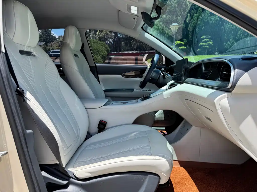 Geely Galaxy Starwish 2025 — фото 18