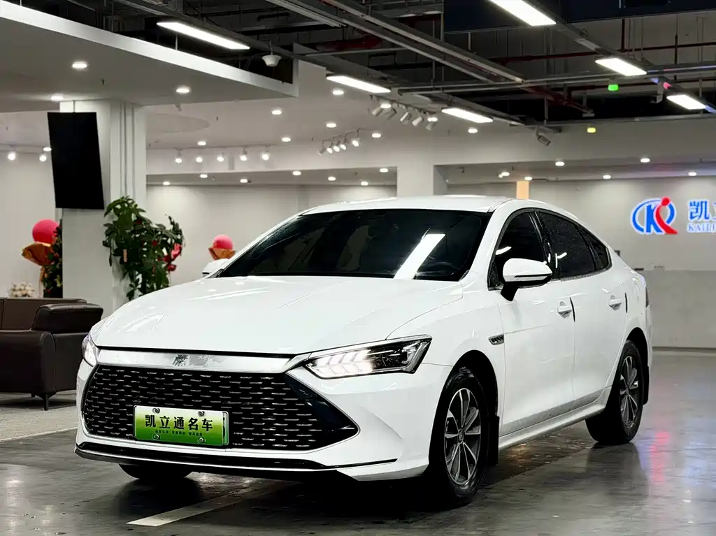 BYD Qin PLUS 2024 — фото 1
