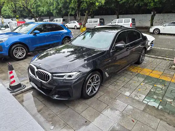 BMW 5 Series New Energy 2020