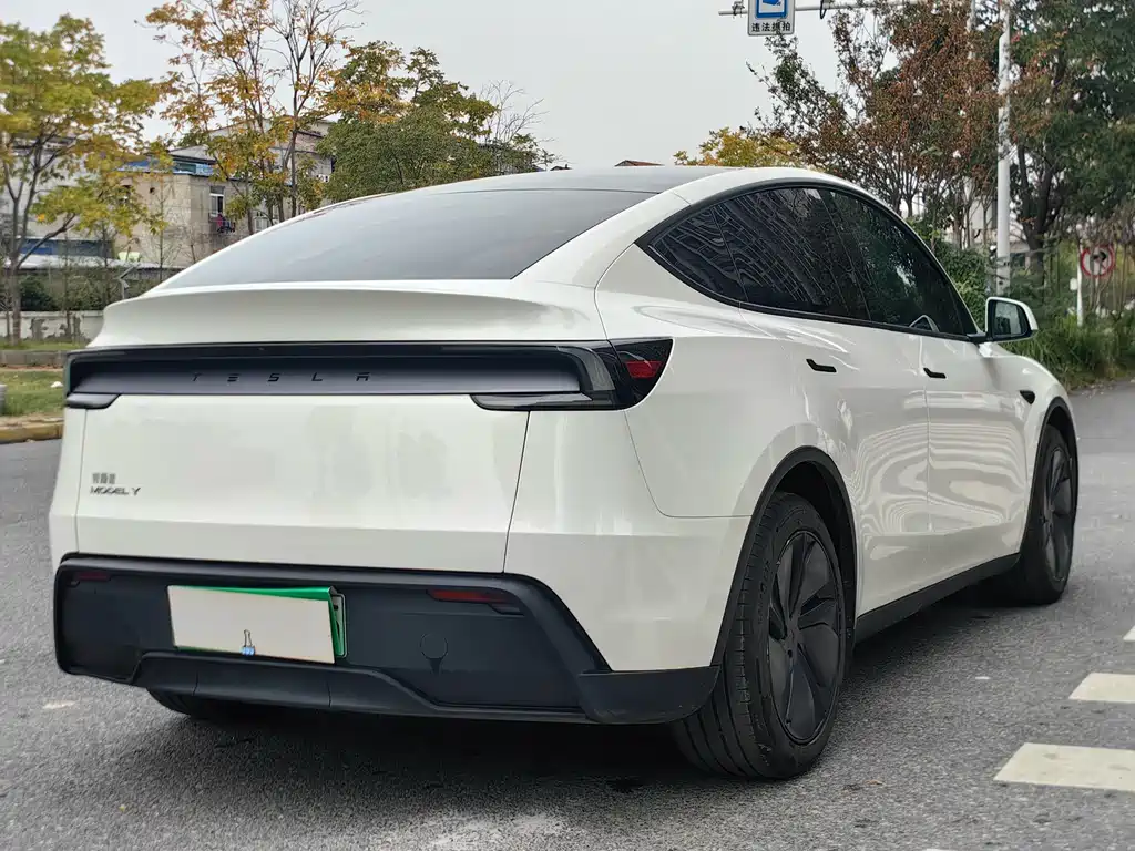 Tesla Model Y 2025 — фото 13