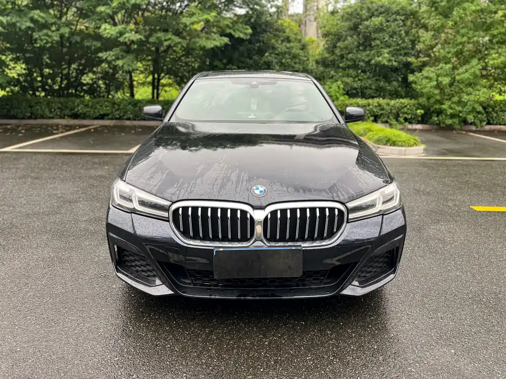 BMW 5 Series 2021