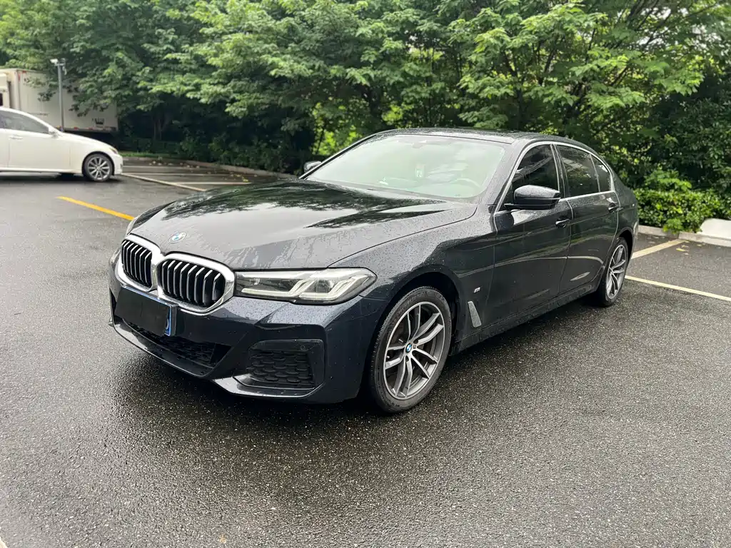 BMW 5 Series 2021