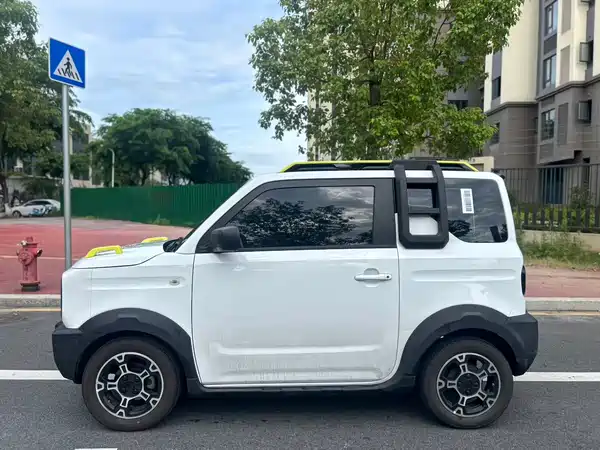 Geely Galaxy Panda 2024
