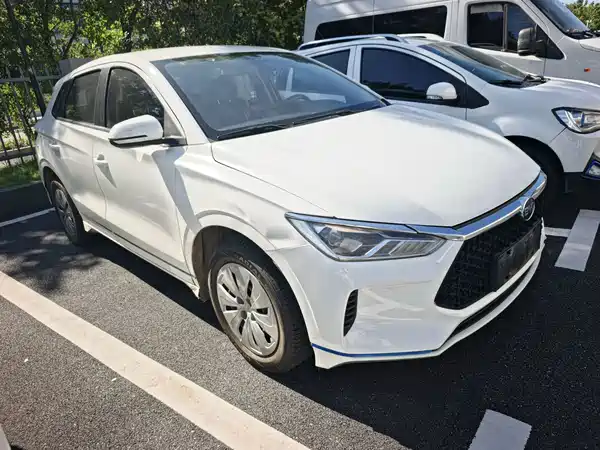 BYD e2 2021