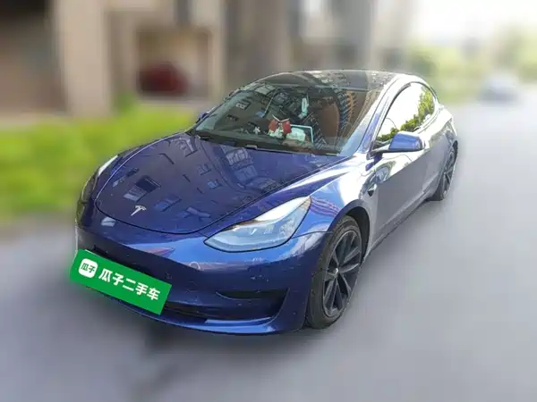 Tesla Model 3 2021