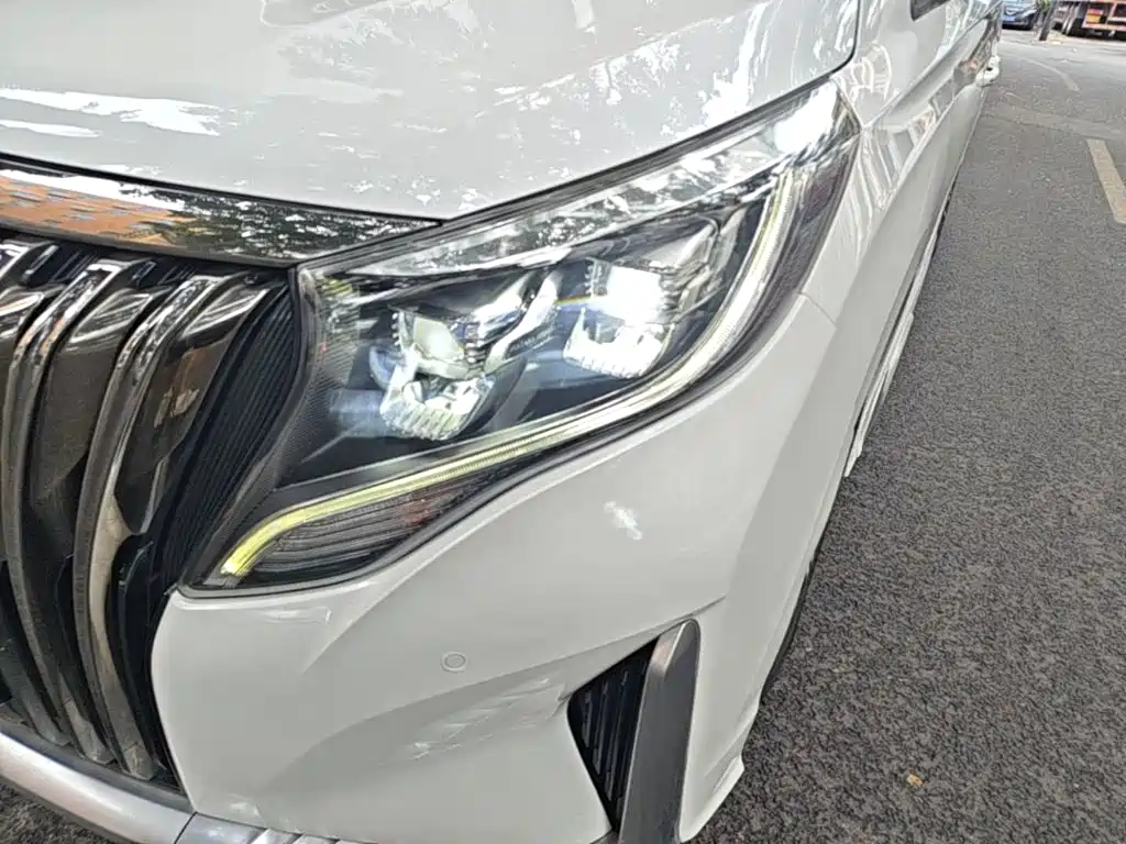 GAC Trumpchi M8 2020 — фото 24