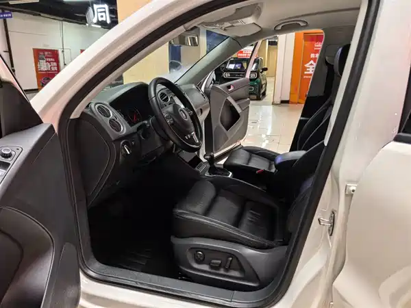 Volkswagen Tiguan 2010