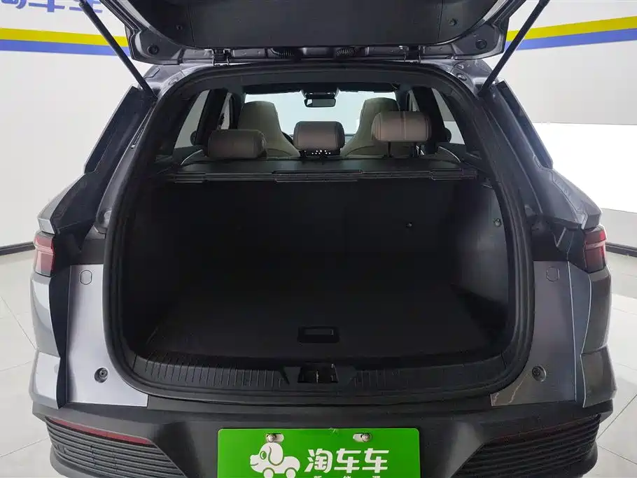 BYD Pro New Energy 2024 — фото 4