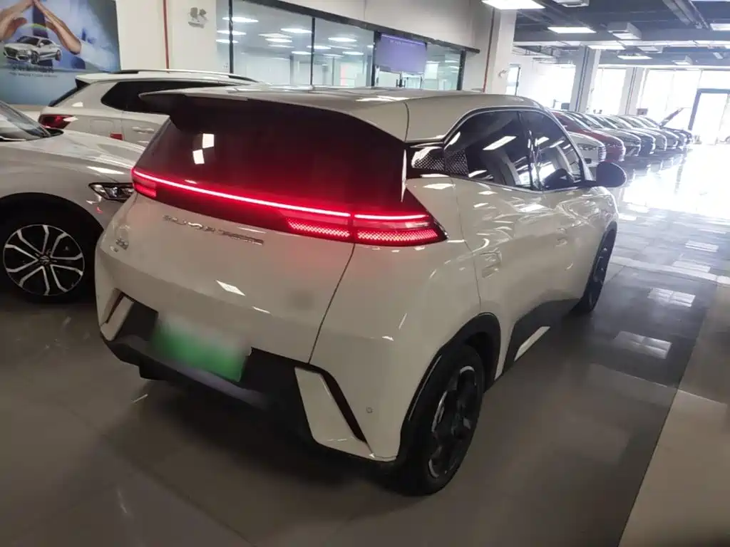 BYD Seagull 2024