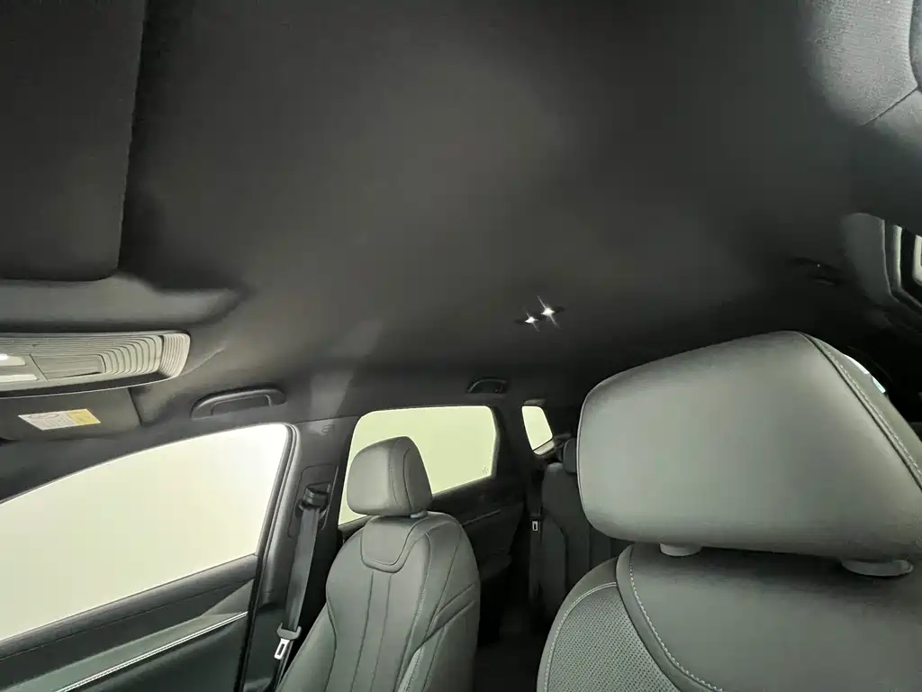 BYD Song Pro New Energy 2025 — фото 20