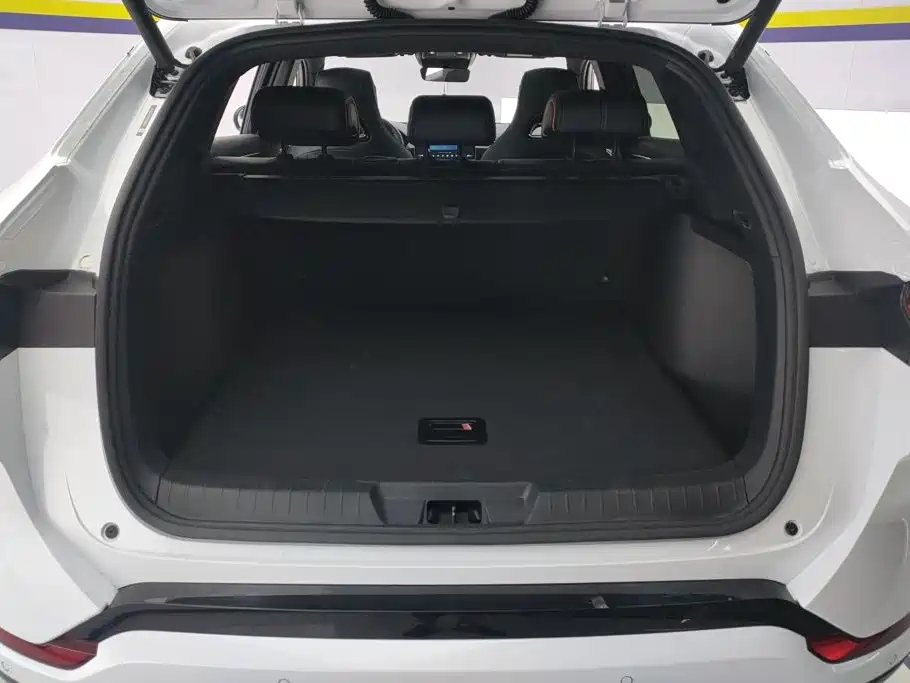 BYD Song PLUS New Energy 2024 — фото 4