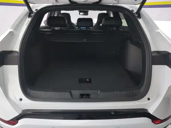 BYD Song PLUS New Energy 2024