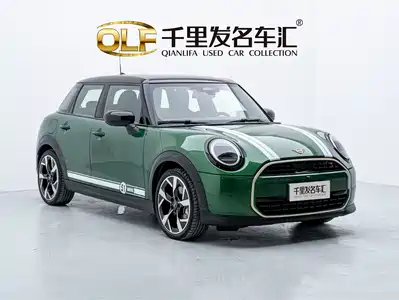 MINI MINI 2024