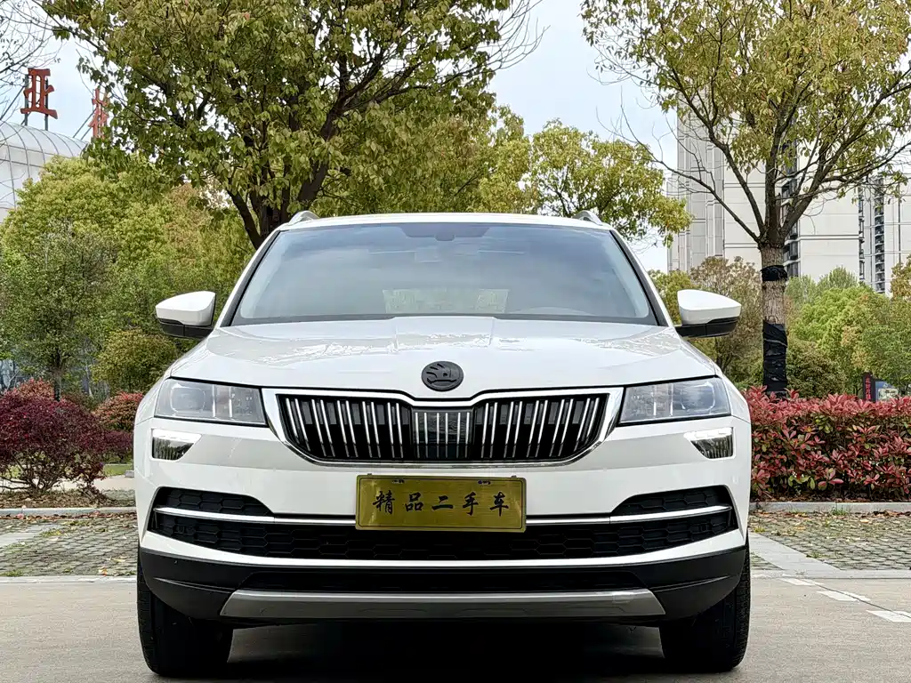 Skoda Karoq 2019 — фото 2