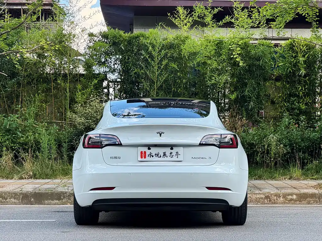 Tesla Model 3 2020 — фото 11