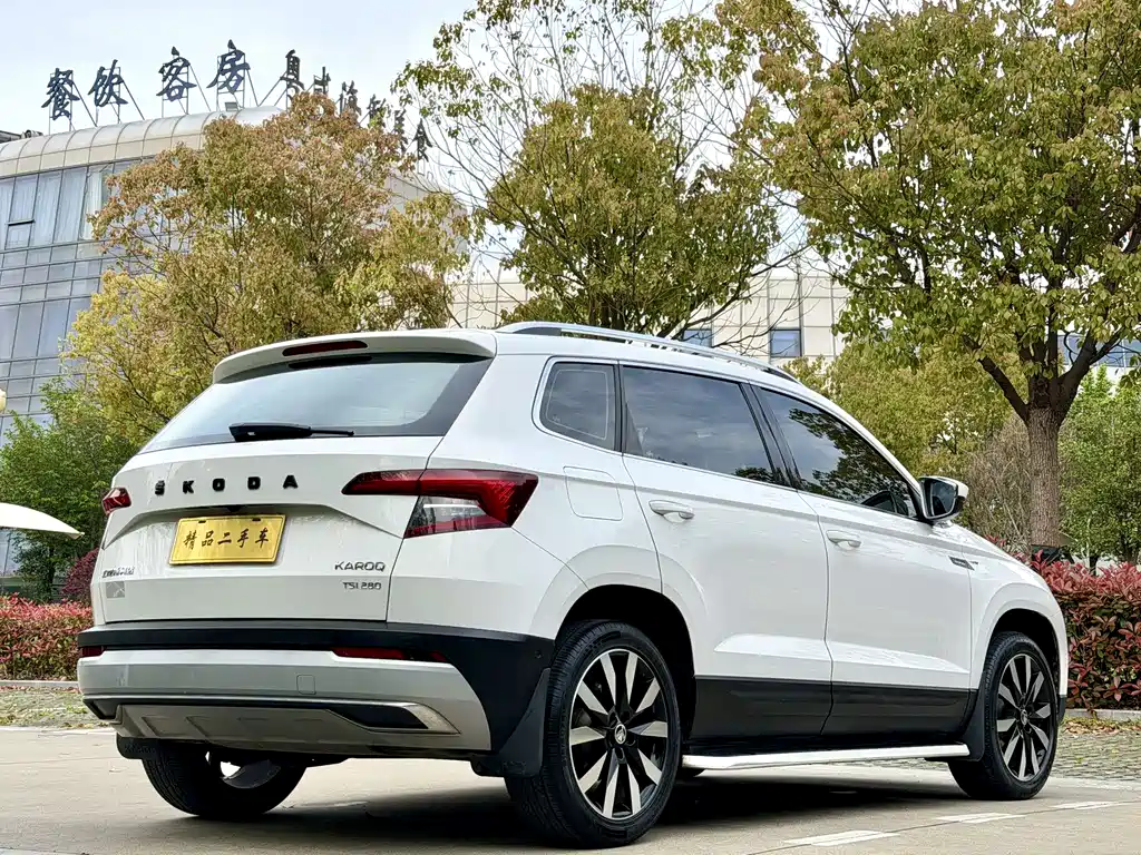 Skoda Karoq 2019 — фото 14