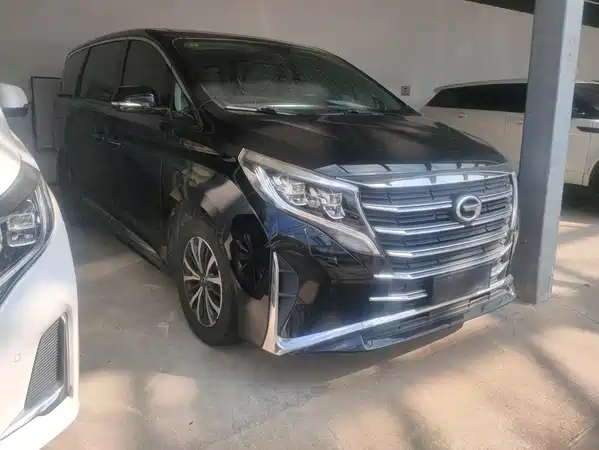 GAC Trumpchi M8 2021