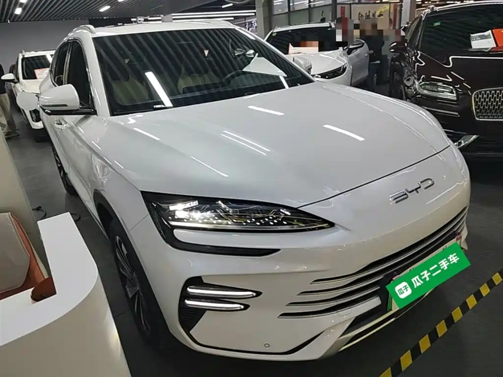 BYD PLUS New Energy 2025 — фото 4