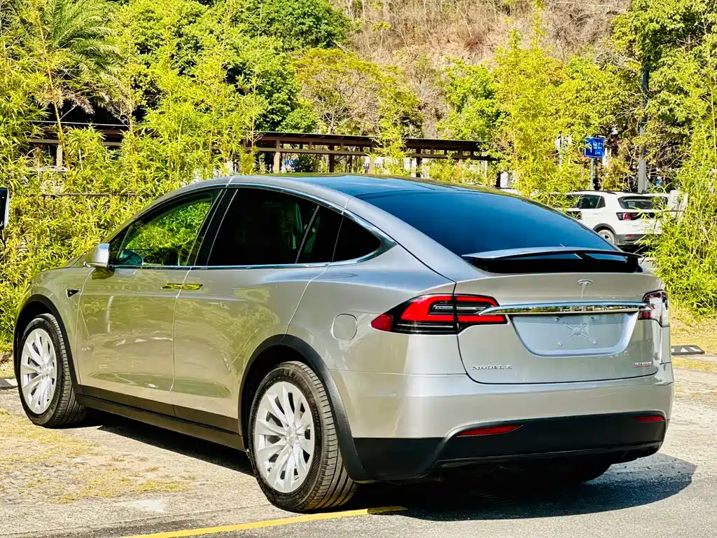 Tesla Model X 2019 — фото 12