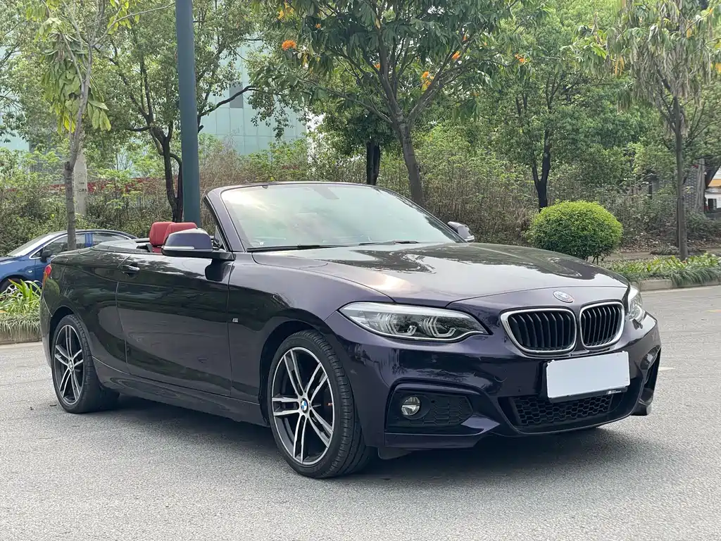 BMW 2 Series 2019 — фото 3