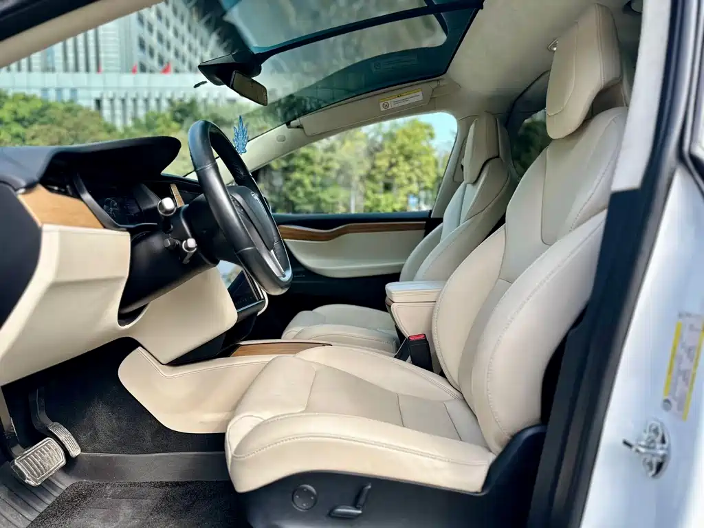 Tesla Model X 2019 — фото 5