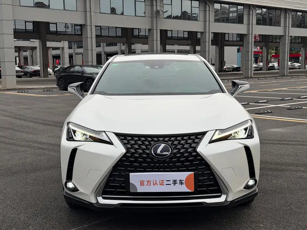 Lexus UX New Energy 2021 — фото 2