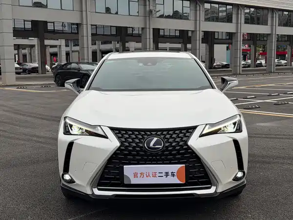 Lexus UX New Energy 2021