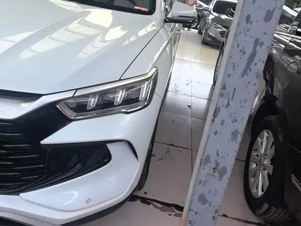 BYD Song Pro New Energy 2024