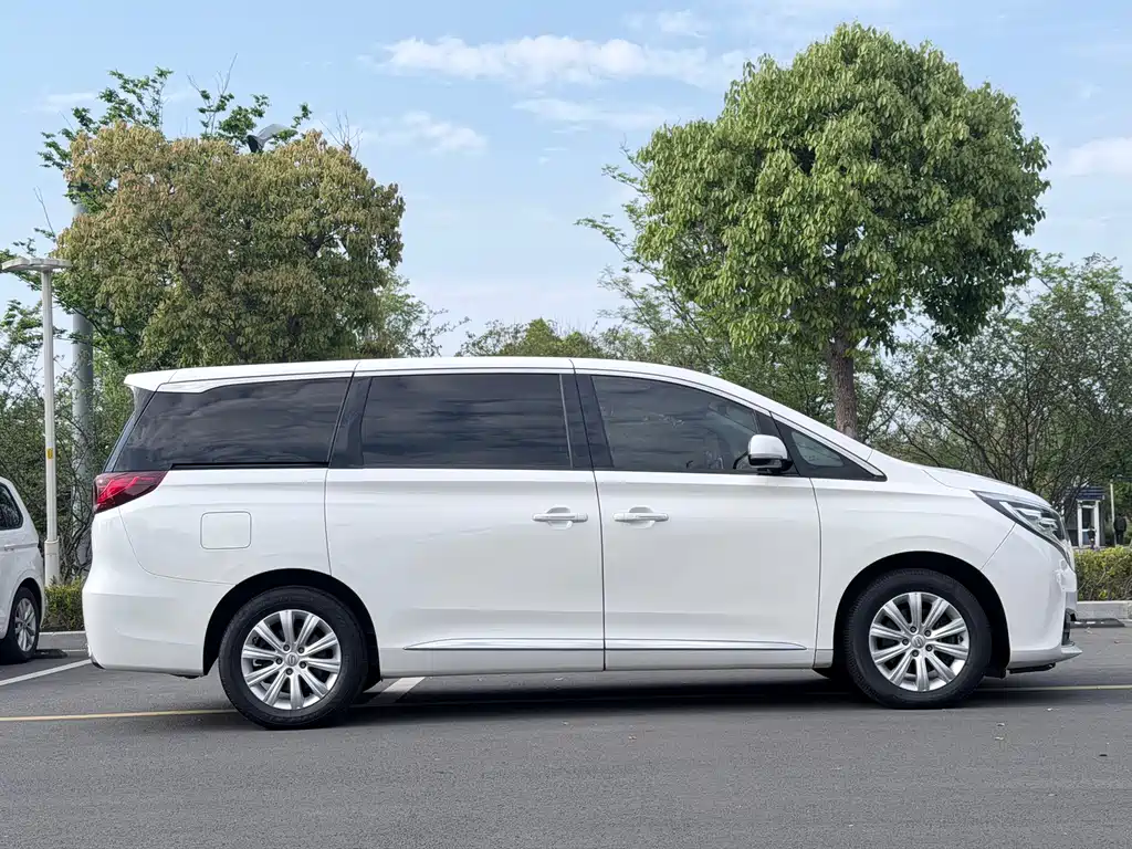 GAC Motor Trumpchi M8 2018 — фото 13