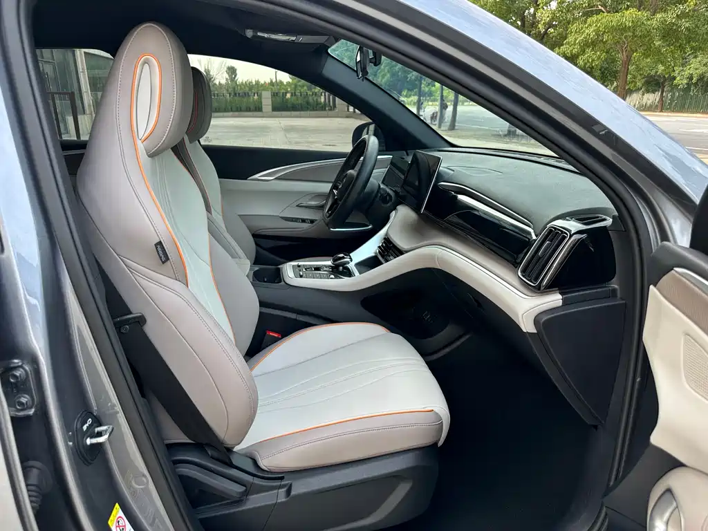 BYD Song Pro New Energy 2024 — фото 7
